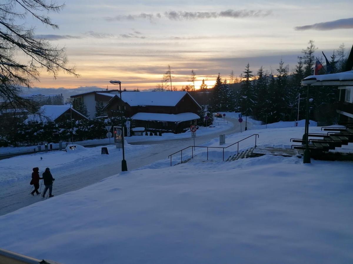 Studio A105 Stary Smokovec Hrebienok Vysoké Tatry Eksteriør billede