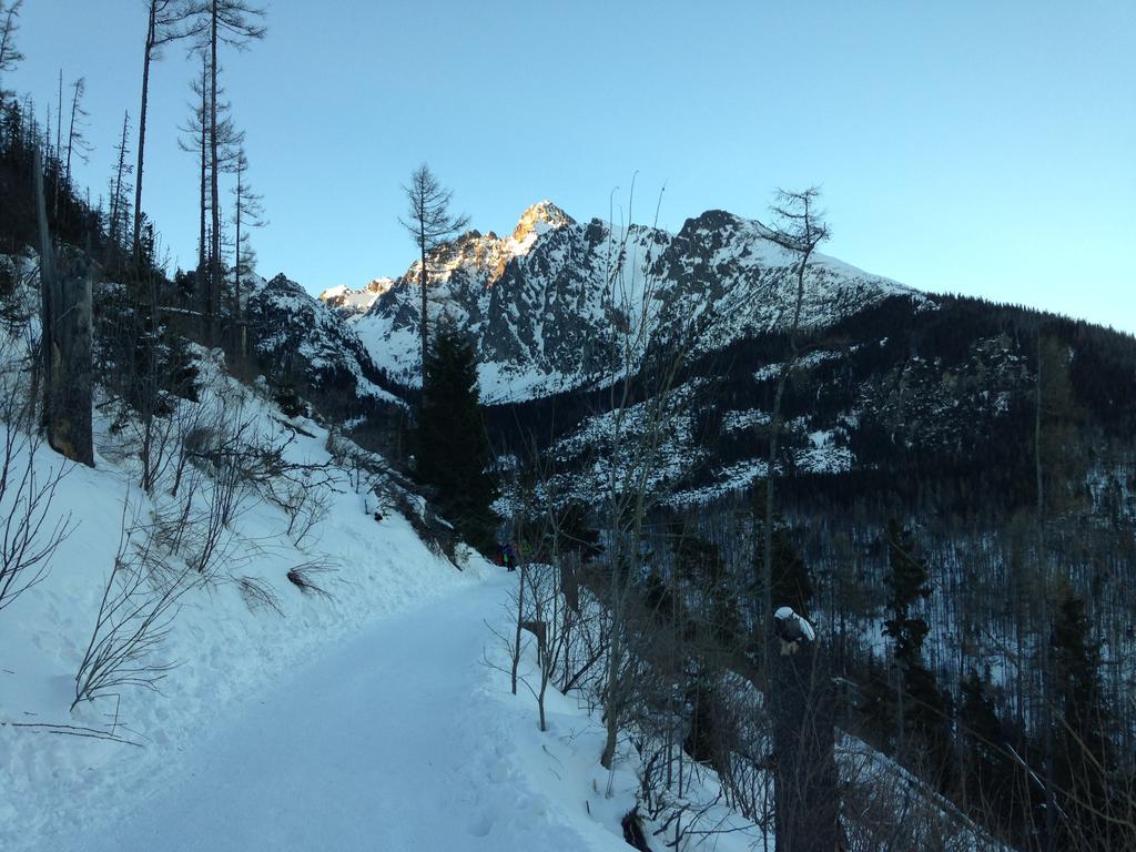 Studio A105 Stary Smokovec Hrebienok Vysoké Tatry Eksteriør billede